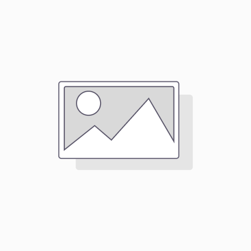 Audio